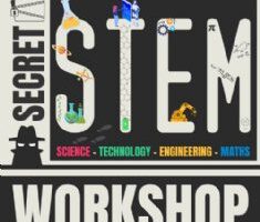 Unveiling the Secrets of Stem